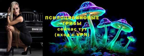 бошки Богородицк